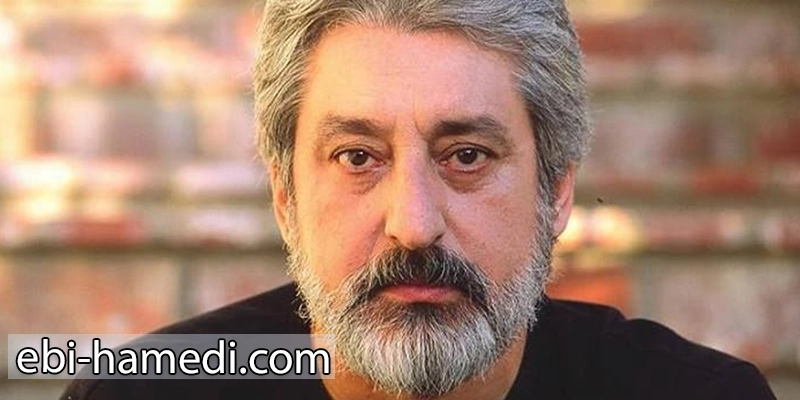 تأثیرگذاری اجتماعی و سیاسی ابی